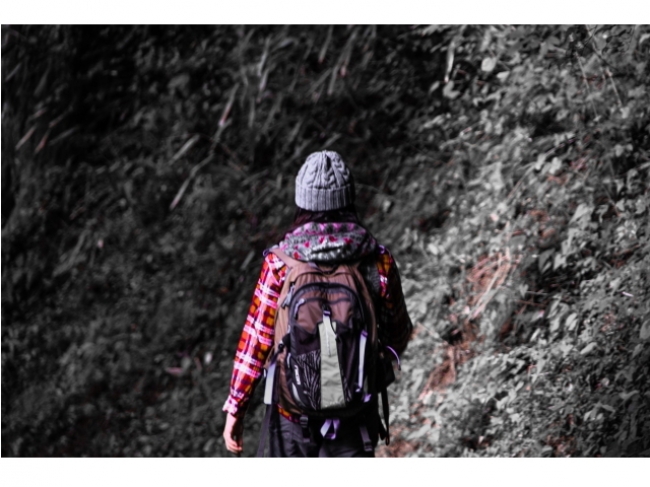 地震・噴火危険もカバーする、登山の保険