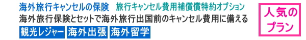 海外旅行キャンセルに備えるプラン 海外旅行キャンセルの保険 行キャンセル費用補償特約